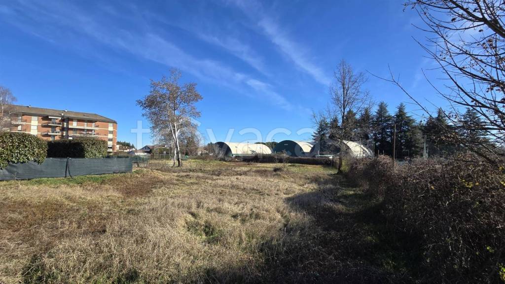 immagine annuncio 9 di 14