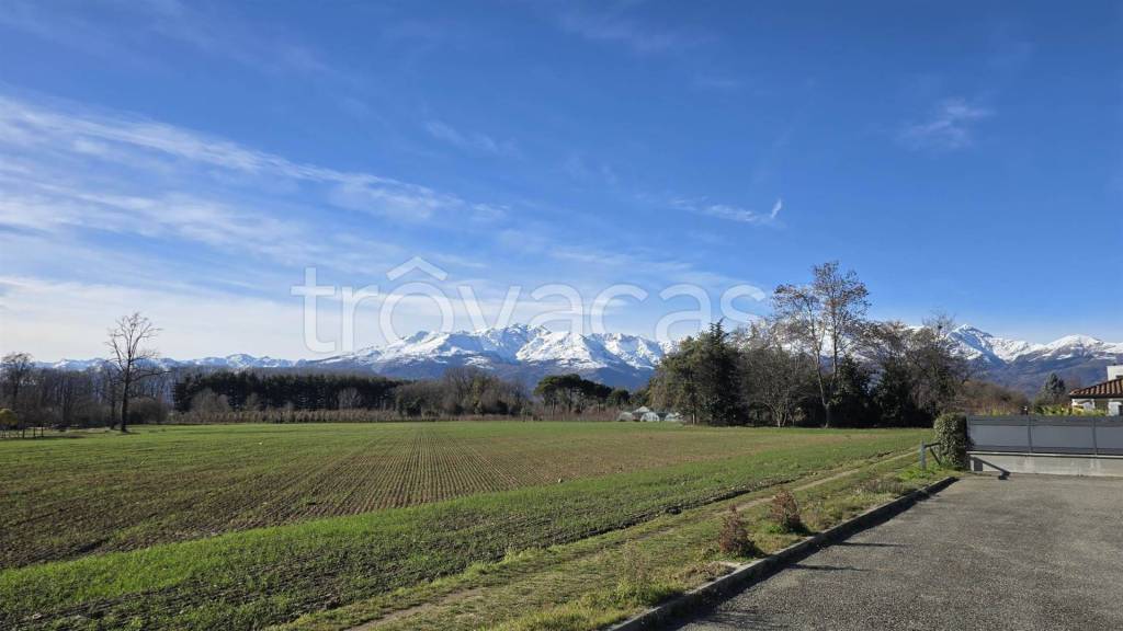 immagine annuncio 10 di 14