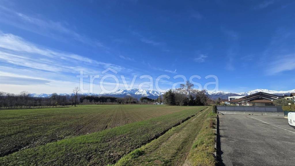 immagine annuncio 11 di 14