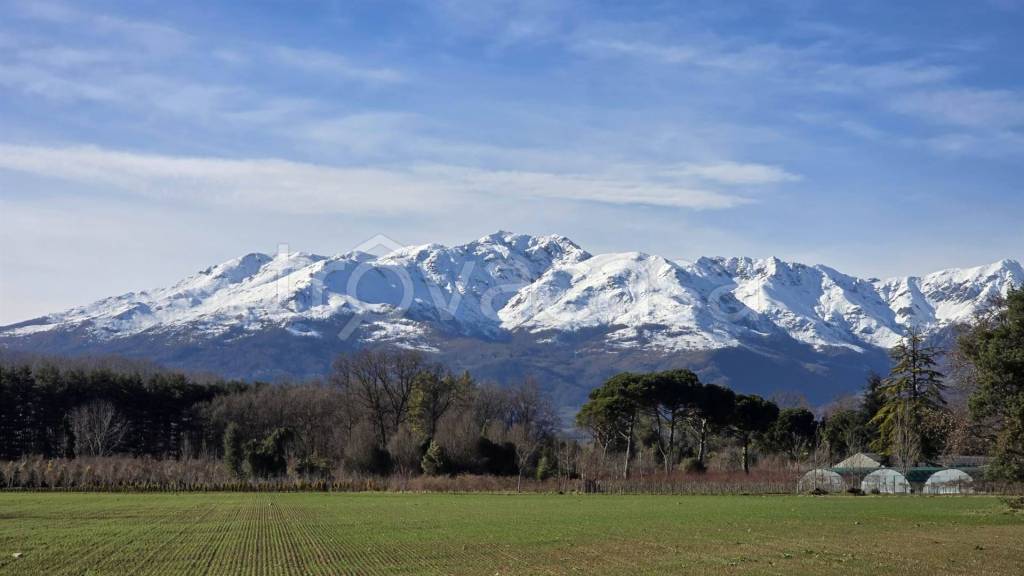 immagine annuncio 12 di 14