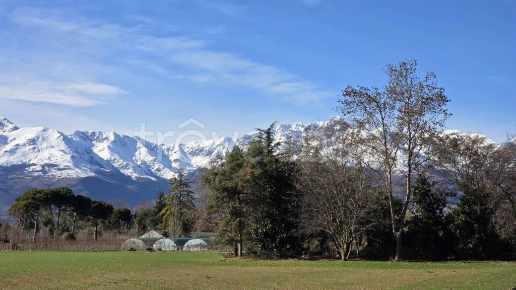 immagine annuncio 13 di 14