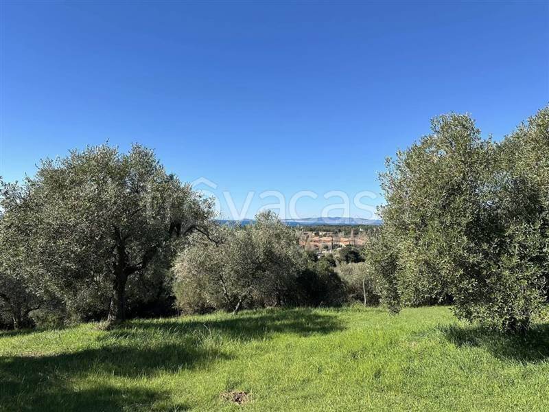 immagine annuncio 1 di 6