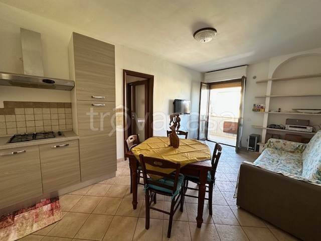 immagine annuncio 7 di 14