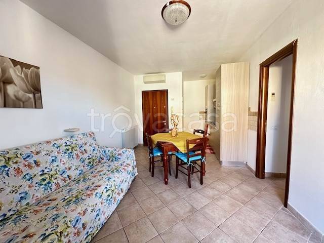 immagine annuncio 8 di 14