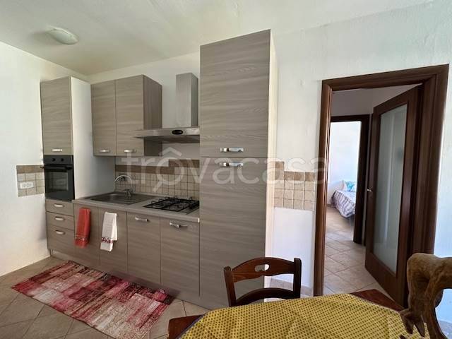 immagine annuncio 10 di 14