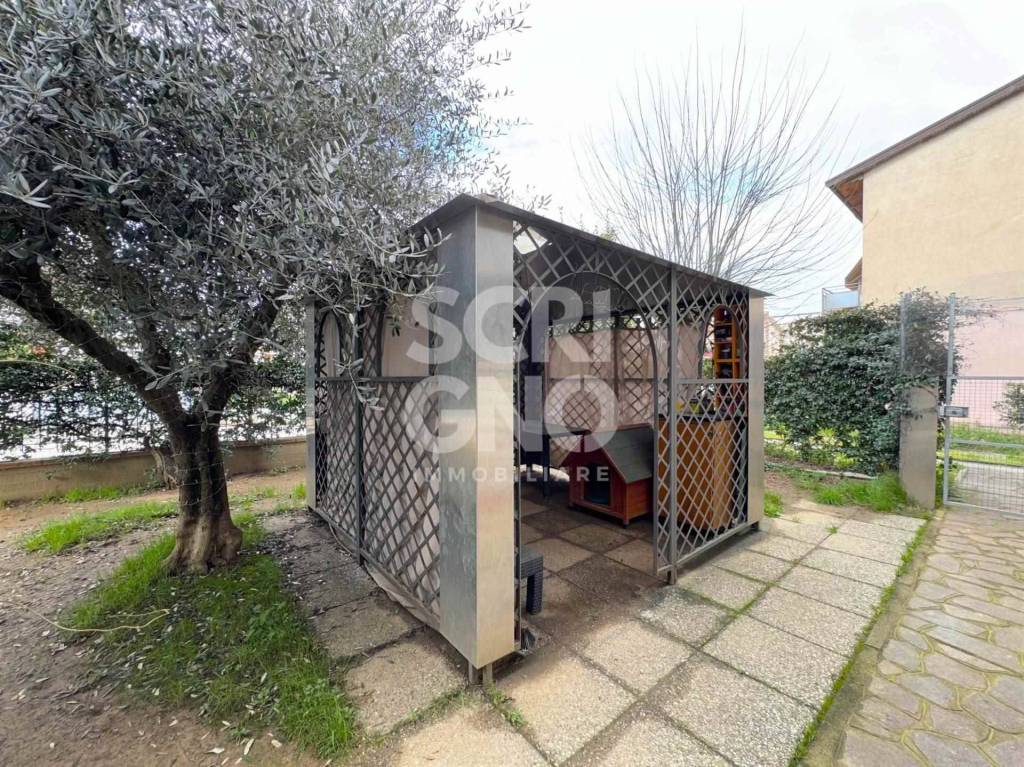 immagine annuncio 6 di 15