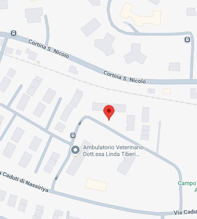 immagine annuncio 7 di 11