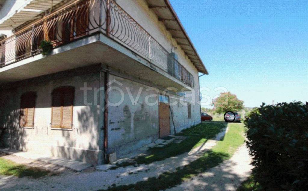 immagine annuncio 4 di 12