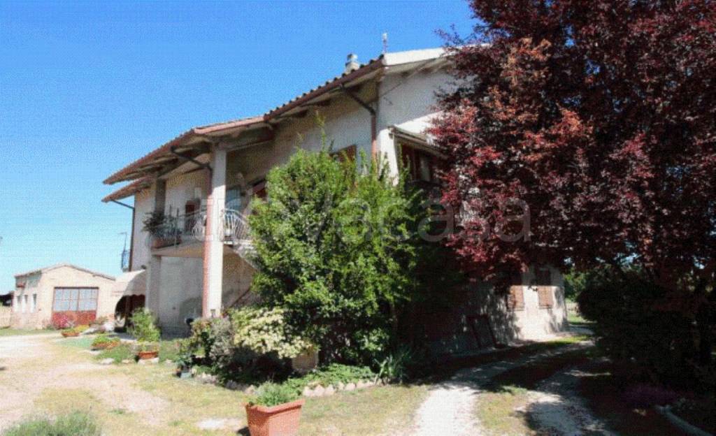 immagine annuncio 6 di 12