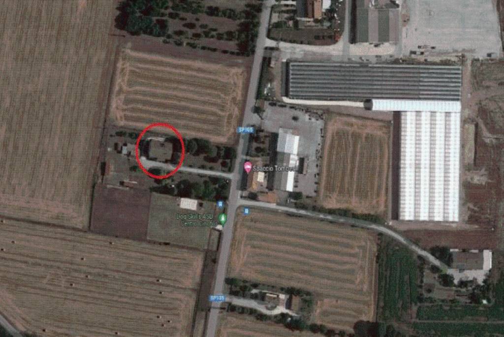 immagine annuncio 9 di 12