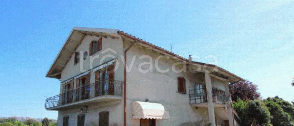 immagine annuncio 11 di 12