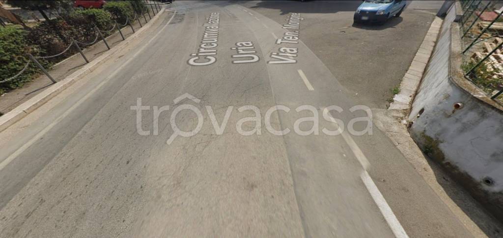 immagine annuncio 2 di 12