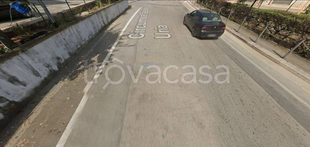 immagine annuncio 5 di 12