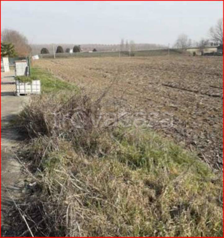 immagine annuncio 3 di 11