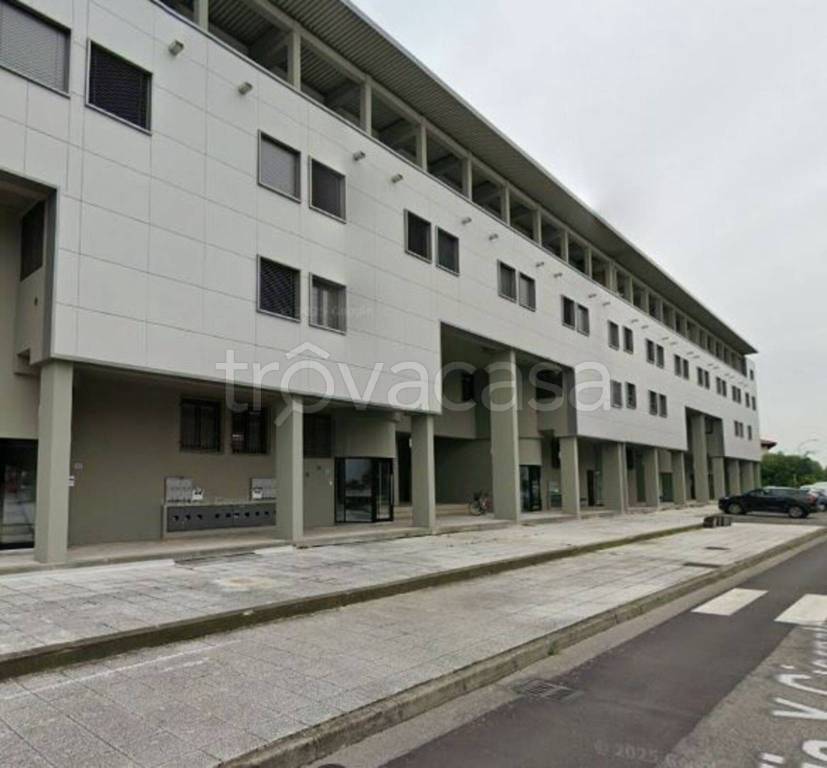 immagine annuncio 7 di 13