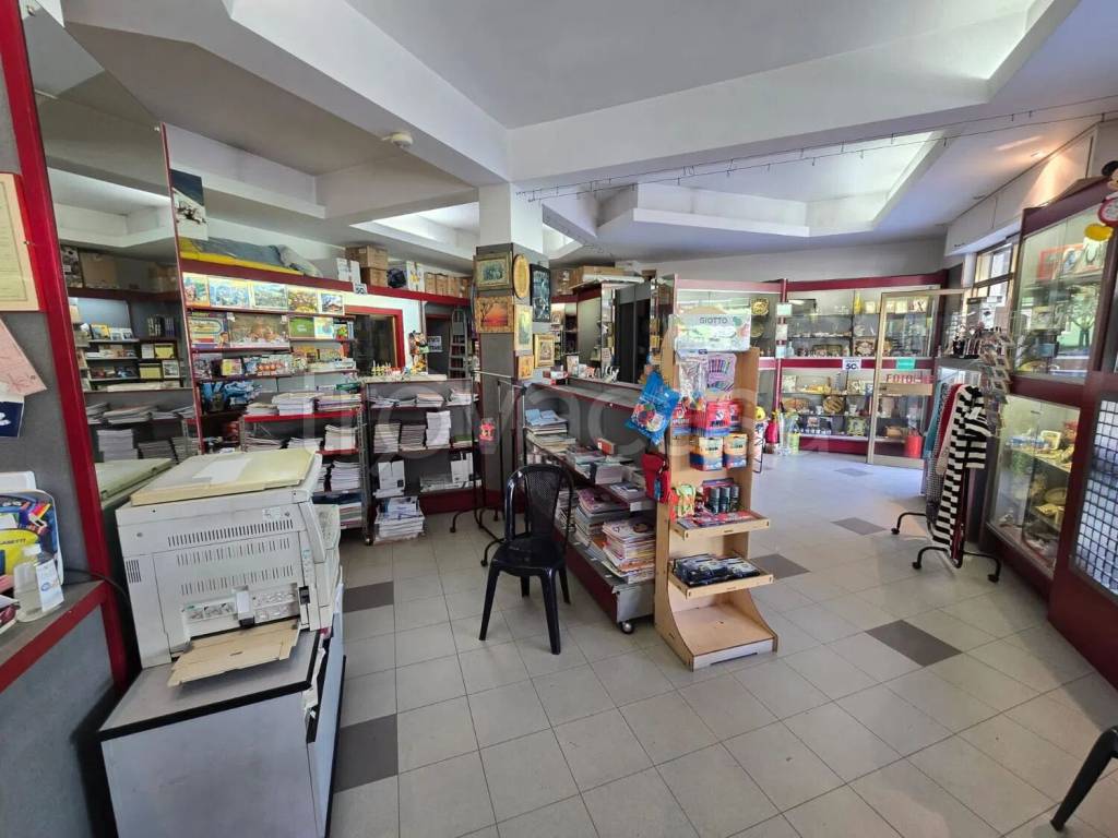 immagine annuncio 1 di 4