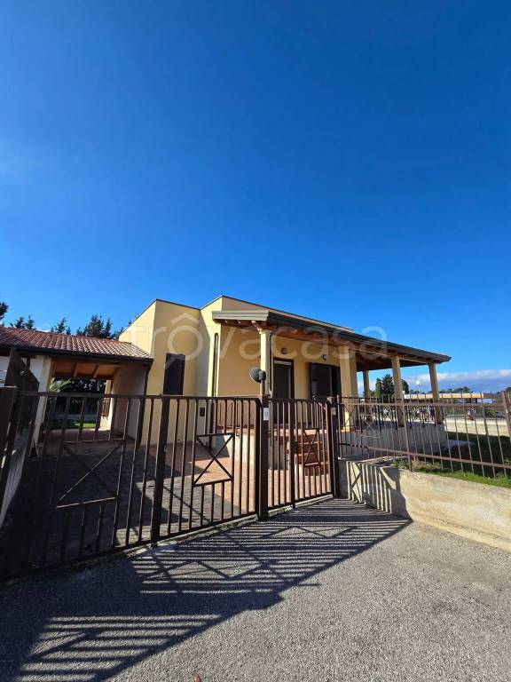 immagine annuncio 1 di 14