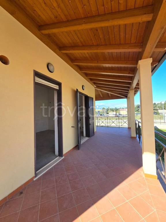 immagine annuncio 8 di 14