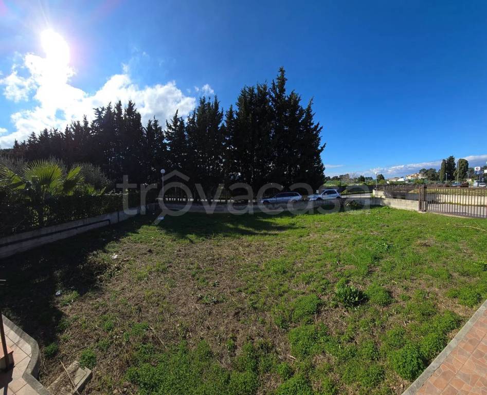 immagine annuncio 12 di 14