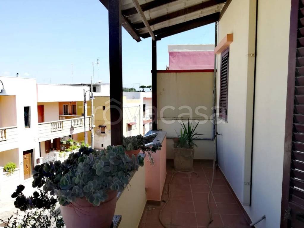 immagine annuncio 9 di 14