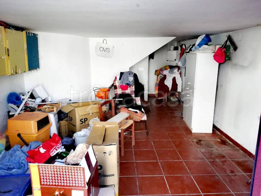 immagine annuncio 11 di 14