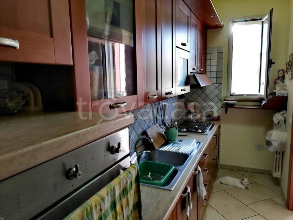 immagine annuncio 4 di 12