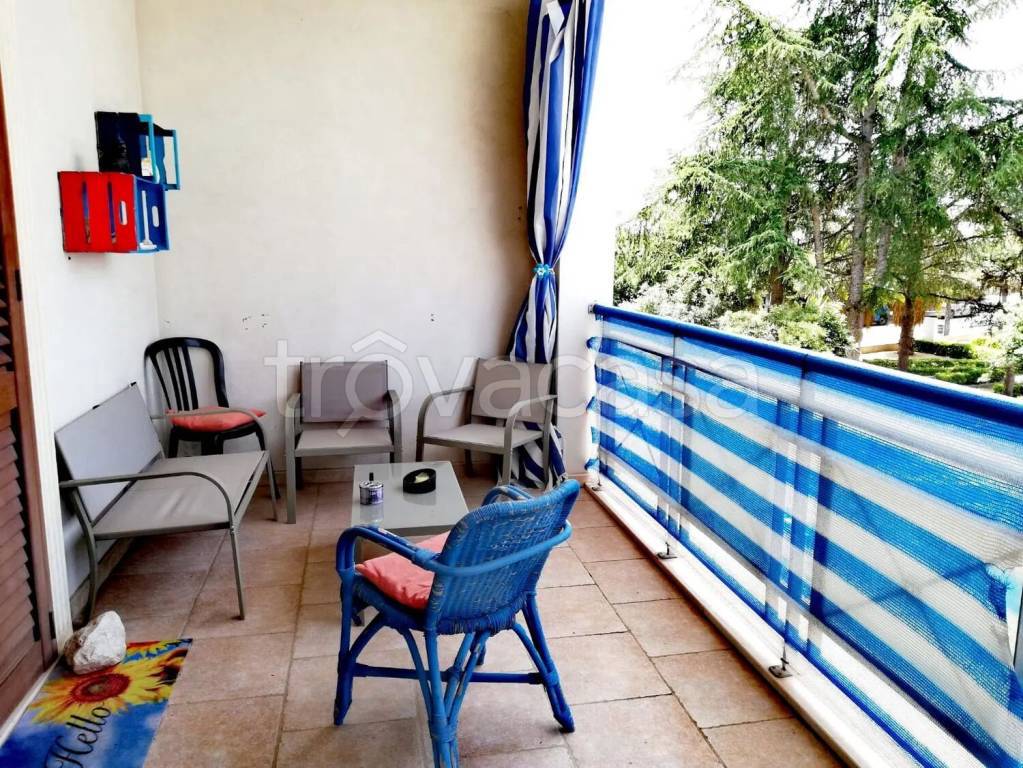 immagine annuncio 9 di 12