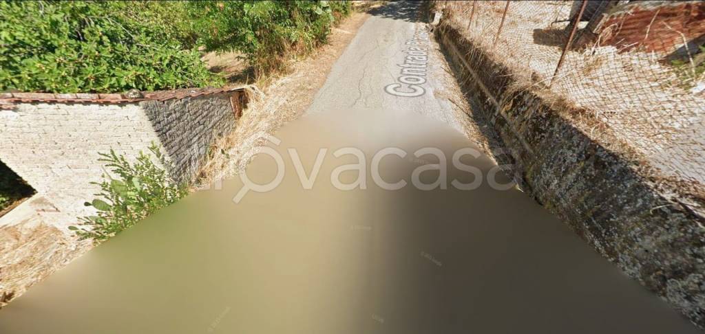 immagine annuncio 6 di 11