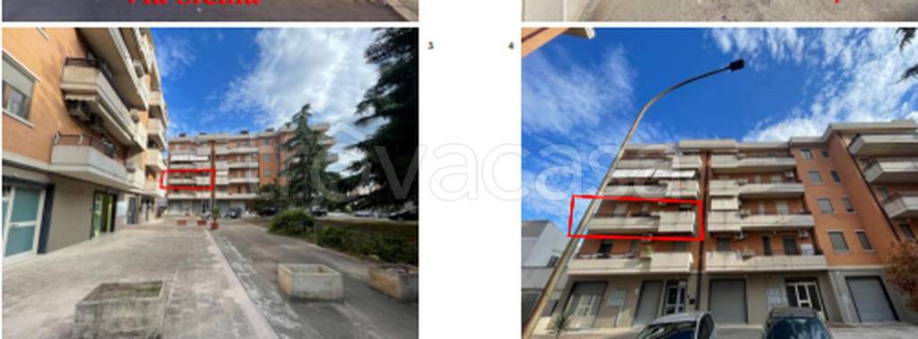 immagine annuncio 4 di 12