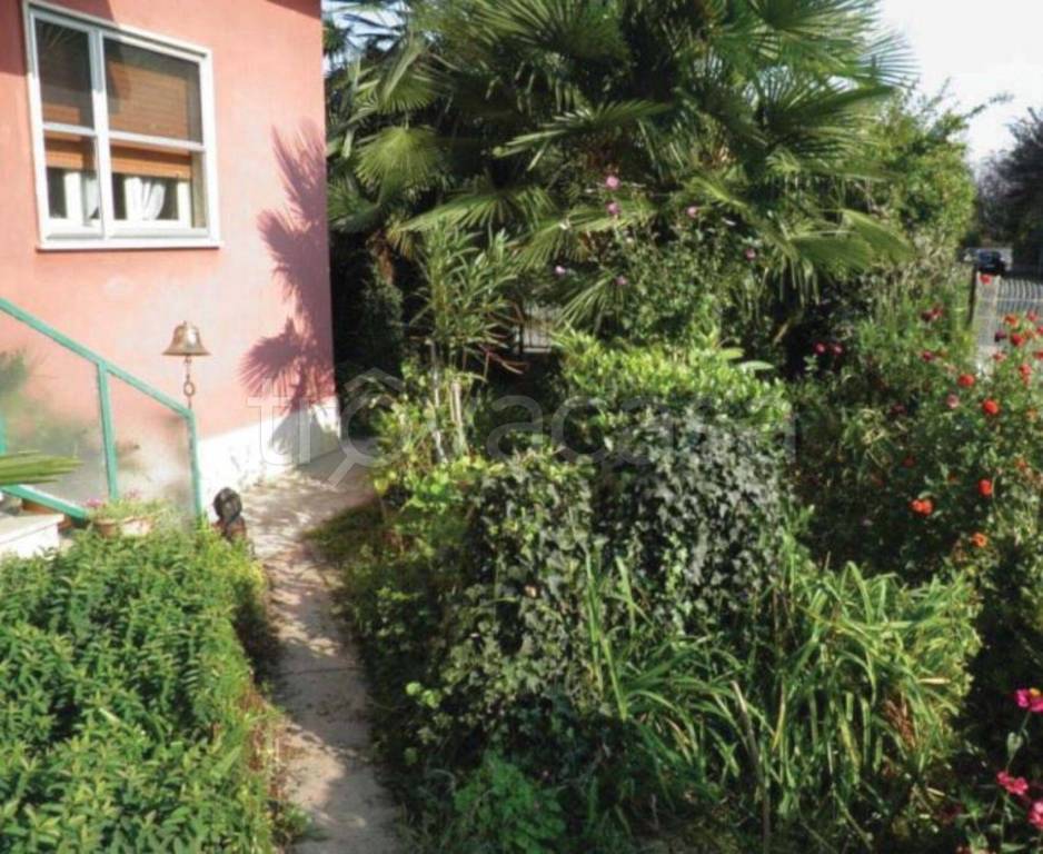 immagine annuncio 9 di 11