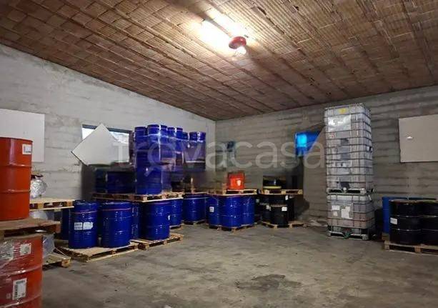 immagine annuncio 1 di 14