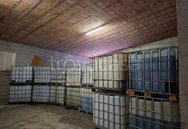 immagine annuncio 2 di 14