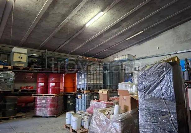 immagine annuncio 3 di 14