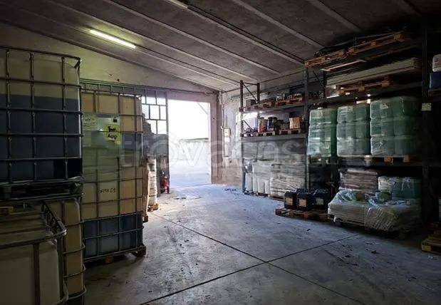 immagine annuncio 4 di 14