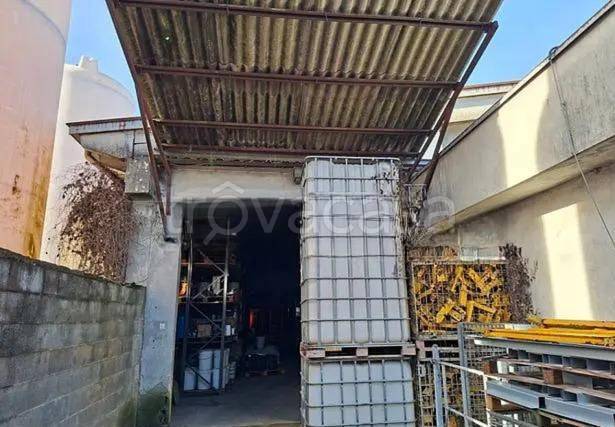 immagine annuncio 5 di 14