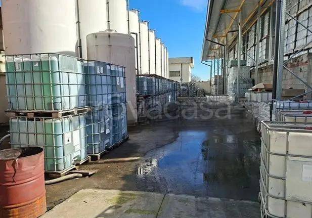 immagine annuncio 8 di 14