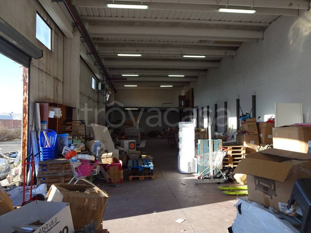 immagine annuncio 4 di 15