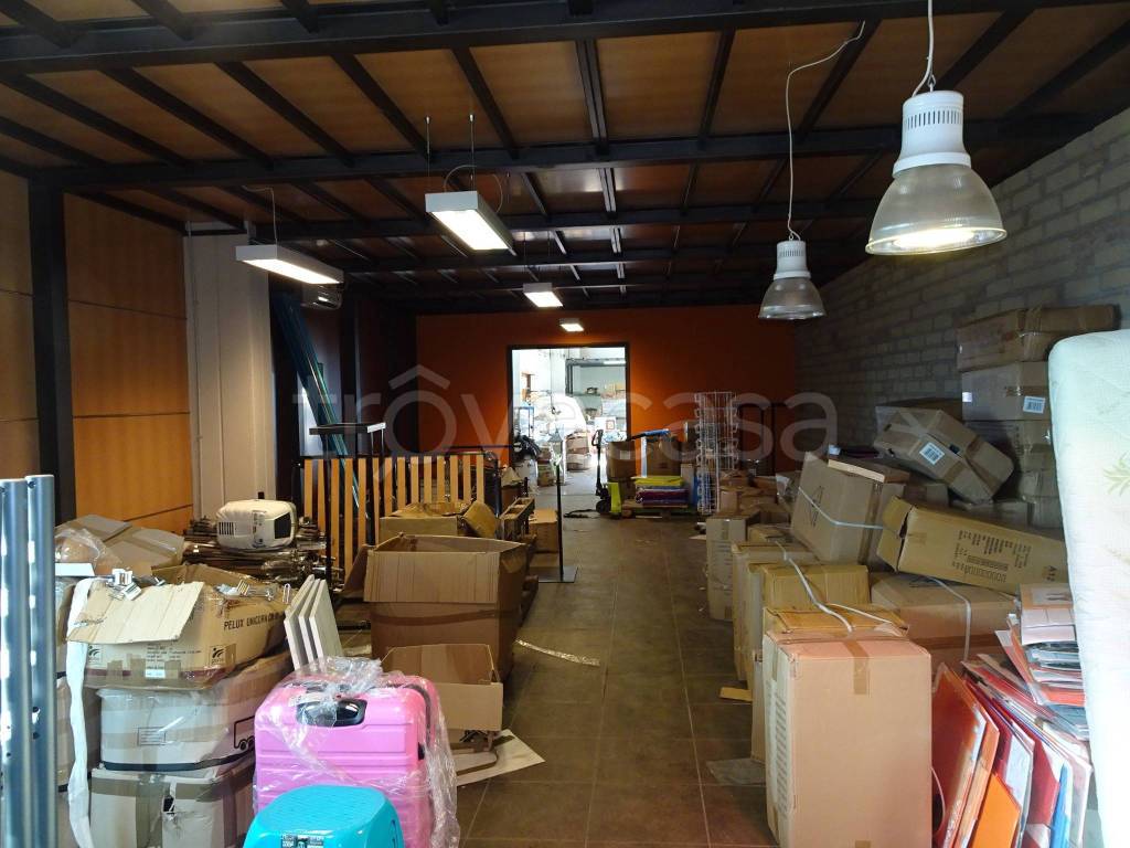 immagine annuncio 5 di 15