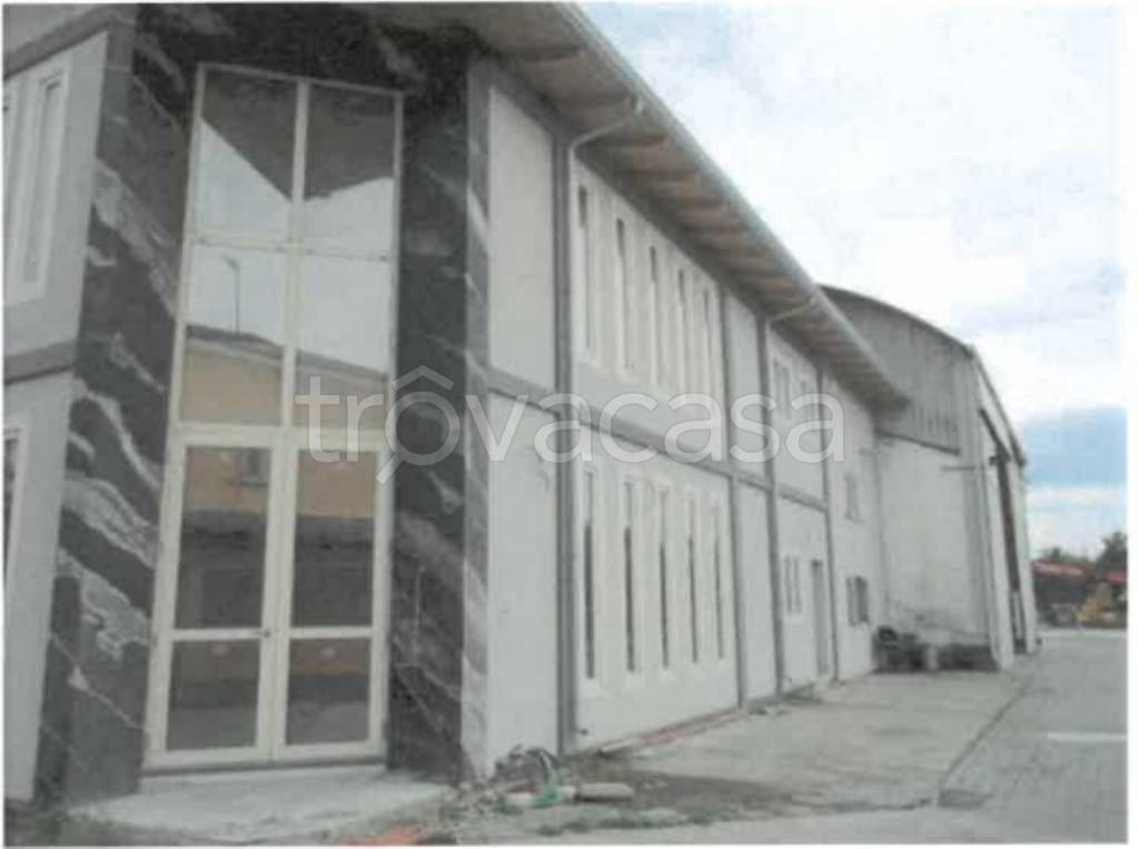 immagine annuncio 7 di 14