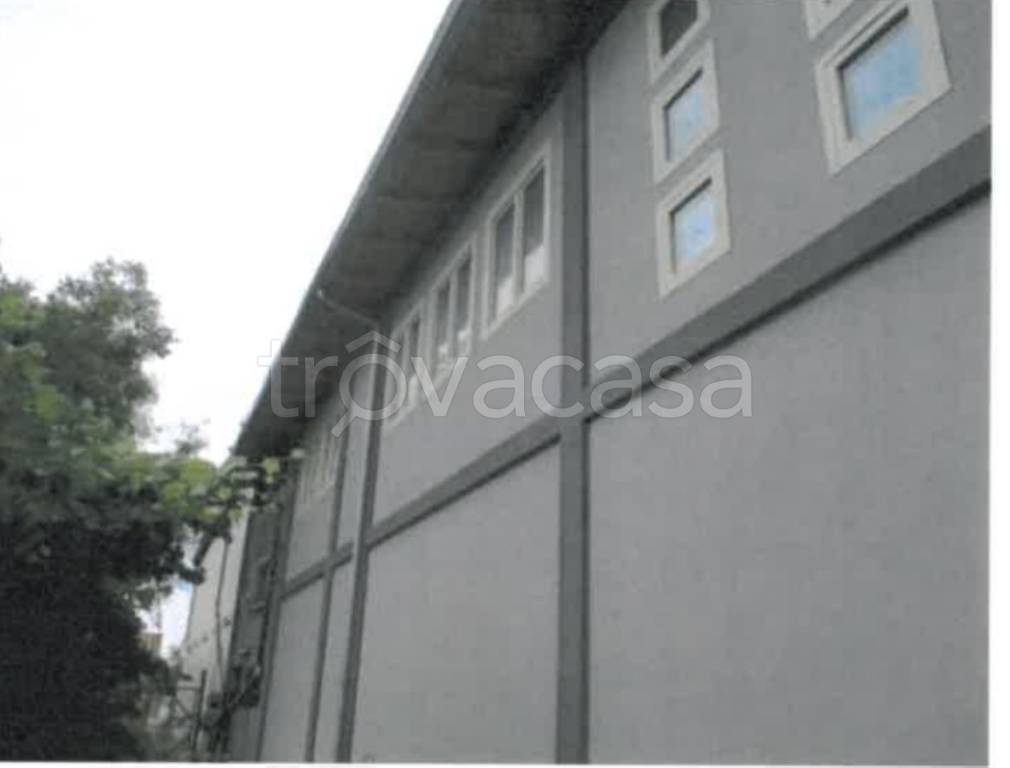 immagine annuncio 8 di 14