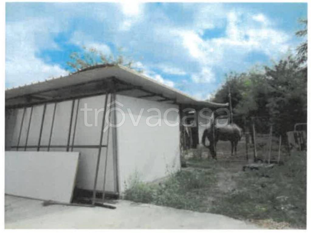 immagine annuncio 10 di 14