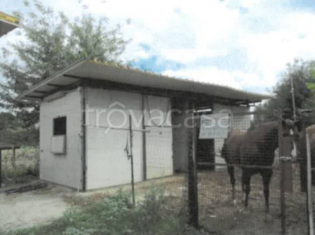 immagine annuncio 11 di 14