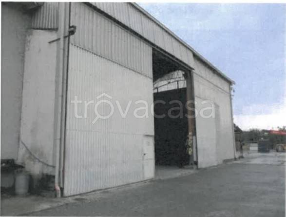 immagine annuncio 12 di 14