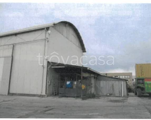 immagine annuncio 13 di 14