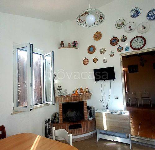 immagine annuncio 10 di 14