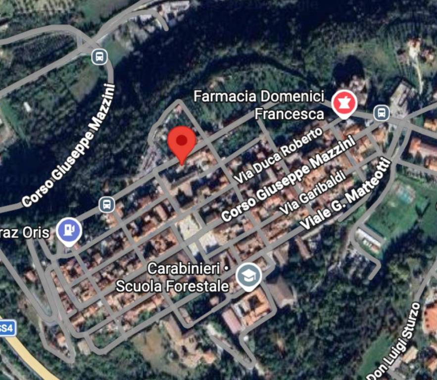 immagine annuncio 10 di 11