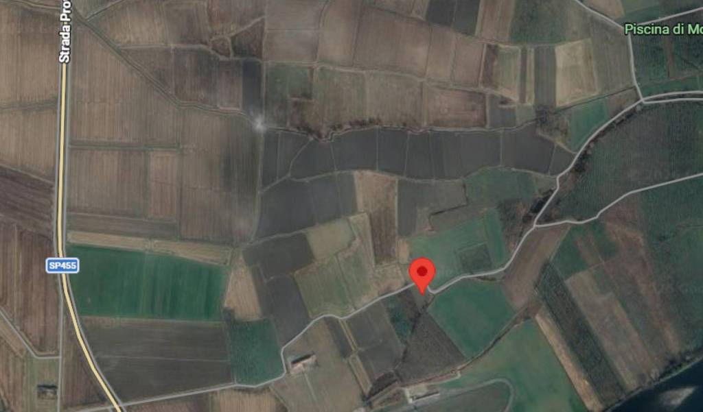 immagine annuncio 4 di 10