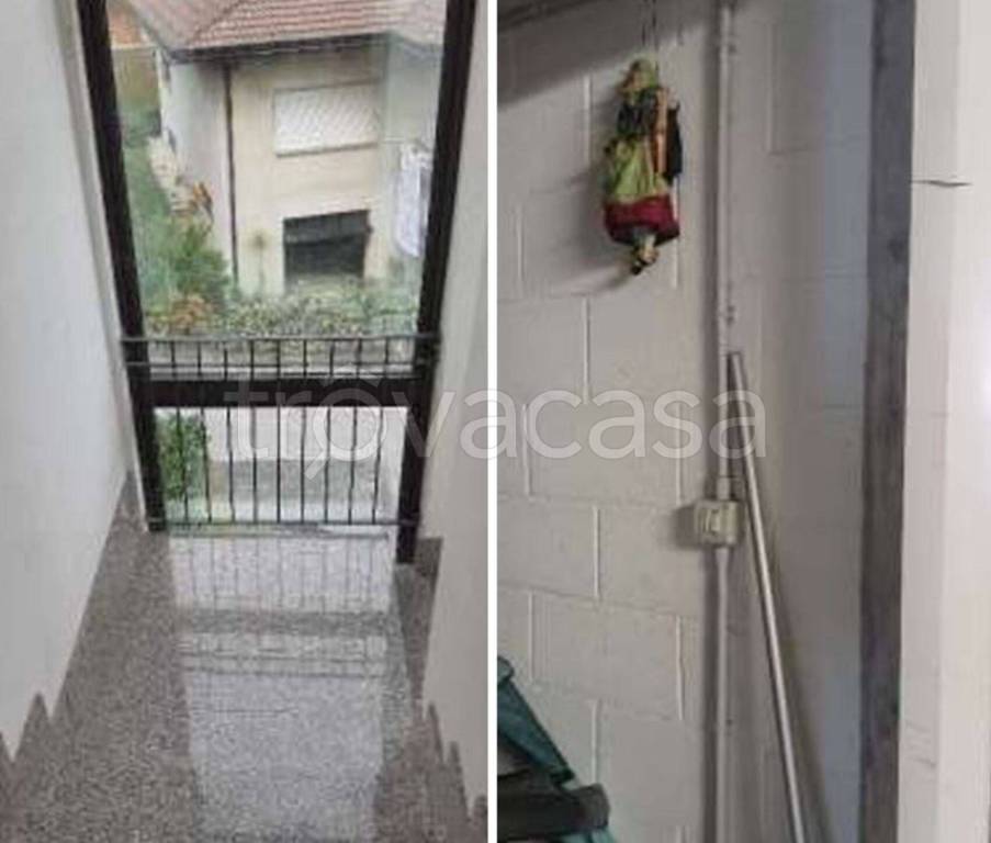 immagine annuncio 4 di 14