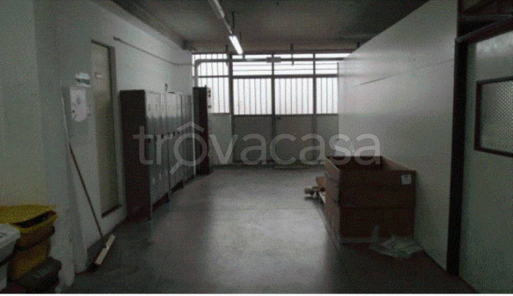 immagine annuncio 3 di 8