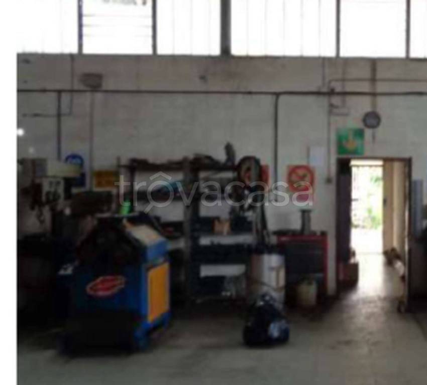 immagine annuncio 2 di 11